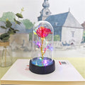Rosa Eterna - Cúpula Transparente com LED