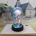 Rosa Eterna - Cúpula Transparente com LED